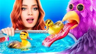 Pokemon vs Opila Kuşu! Evcil Hayvanlar için Gizli Odalar İnşa Ediyoruz