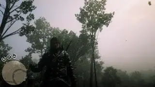 Red Dead Online glitch