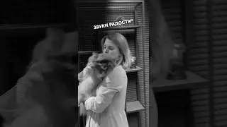 Аналитика данных