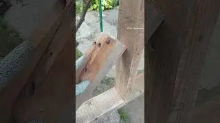 Amazing woodworking skills! Easy way to always get the perfect corner #shorts #diy #tips #tricks