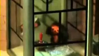 Песенка Чебурашки на английском языке.avi