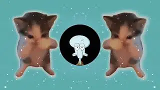 DJ KICAU KICAU KICAU MANIA SLOW VIRAL TIKTOK FULL SONG MAMAN FVNDY 2026