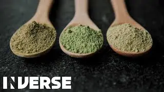 Kratom Effects Explained | Inverse