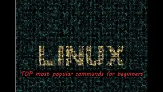 TOP Most Popular Linux & Terminal Commands for Beginners