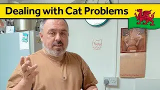 113. Cat Troubles and Weeding - Living Alone in Wales (August 2024)