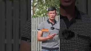 Забор штакетник - особенности #беларусь #заборы #стройка #забор #iштакетник