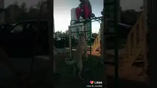 Саг бо духтар