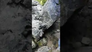 Река Курджипс. Вид после первого порога после спуска в ущелье. Поселок Мезмай