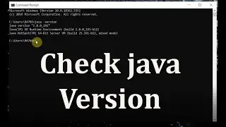 How to Check Java Version