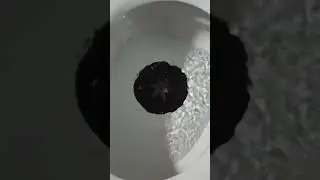 14 октября 2023 г.