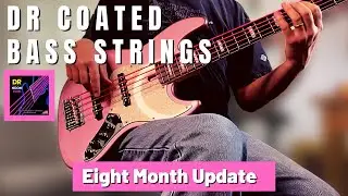 DR Coated Bass Strings -- Eight Month Update -- How Are They Holding Up?