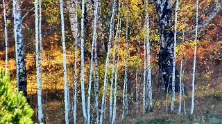 Что такое осень