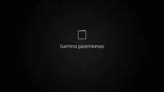 gaminio pasirinkimas