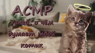 ASMR [RP] If your kitten could talk
