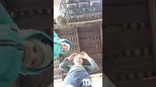 4 мая 2024 г.