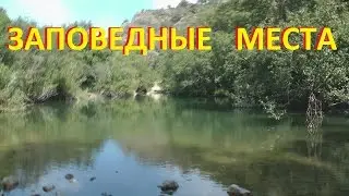 Заповедные места. Дикая природа Испании