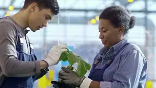 Agriculture  Commercialisation and Modernization (LIFE COACH)