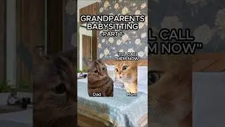 CAT MEMES 🐱 GRANDPARENTS BABYSITTING PT.1 #relatable #grandparents #family #cat #shorts