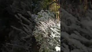 А можно повторить? 😁 Задолбала жара 🥵