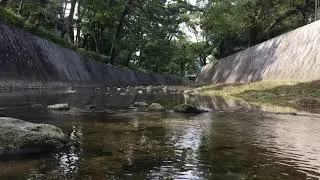 A river in Japan