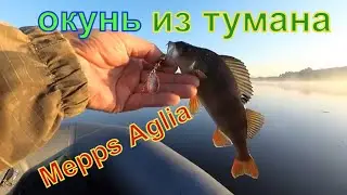 С Mepps Aglia по ЖАБОВНИКУ. Дергаю ОКУНЕЙ из тумана.
