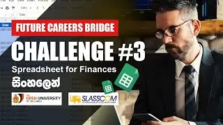 SLASSCOM FCB Challenge #3 | Spreadsheet for Finances | SINHALA