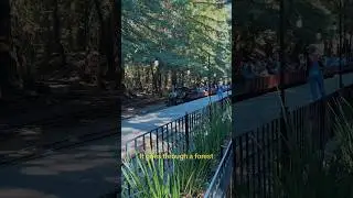 Tilden Steam Train
