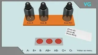Ensino digital sobre heranças sanguíneas (aplicativo D.E.G.I).