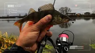 CF Nano One Air. Autumn microjig. Cruel and merciless.
