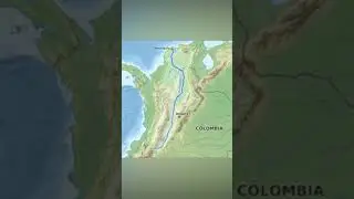 Бегемоты Пабло Эскобара