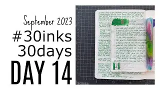 #30inks30days