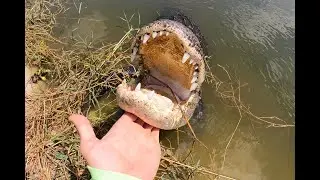 Andy Savage VLOG Episode 3 - Everglades (Gator Hunting, Boar Wrangling, FOOD & Friends)