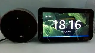 Amazon Alexa's Response to 