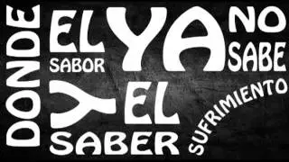 Kinetic Typography  ( La Vela Puerca - Insensibles )