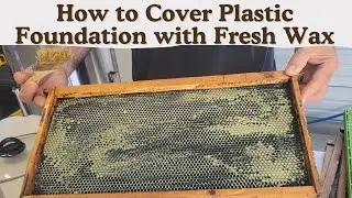 HOW TO ADD WAX TO BEE HIVE FRAME FOUNDATIONS | BEEKEEPING