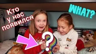 ПОПОЛНЕНИЕ В СЕМЬЕ /Подстригли МАКСА / Снимаем видео в ТИК ТОК