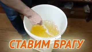 СТАВИМ БРАГУ