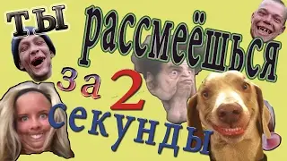 Ты рассмеёшься за несколько секунд!