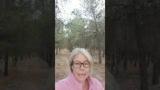 The secret path to sobriety