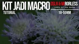 Cara Foto Makro Dengan Lensa Kit