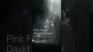 Pink Floyd - David Gilmour #pinkfloyd #davidgilmour