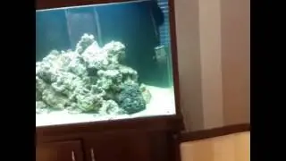 Akvarium0556471623
