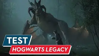 Hogwarts Legacy Test / Review: Der beste Zauberschüler seiner Klasse?