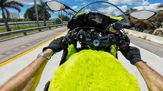 Why Did I Cover My Motorcycle In Fur?