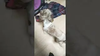 типа ругаю)