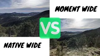 The iPhone Wide Angle Lens Video to Rule Them All - EXPLAINED & OUR FAVORITE