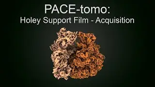 PACE-tomo: Holey Support Film - Acquisition