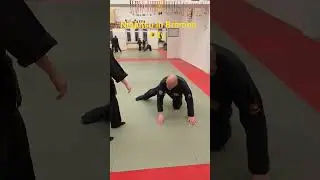 Ninjutsu in Bremen City #kodo #zoku #shorts #shortvideo #shortclip #bremen #fight #womendefense #