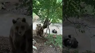 Nasa Masa Doboj-kupanje