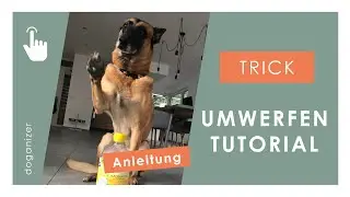 Hund 